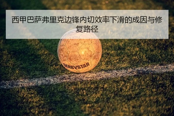 xi-jia-ba-sa-fu-li-ke-bian-feng-nei-qie-xiao-lv-xia-hua-de-cheng-yin-yu-xiu-fu-lu-jing-2-234.jpg